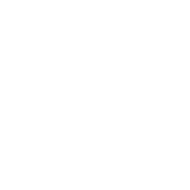 FIS logo