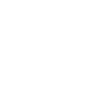 Turner logo