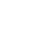 Angular logo