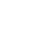 Ionic logo